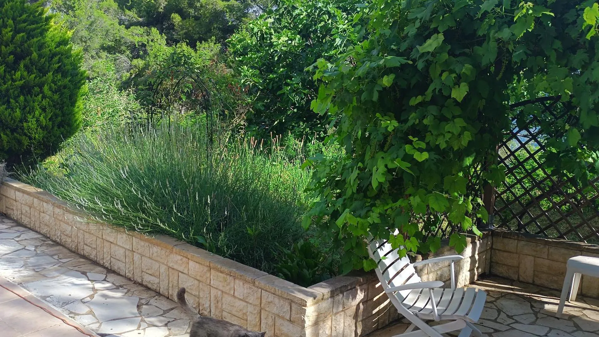 Apartment Studio Dans Villa Don Quijote Nice