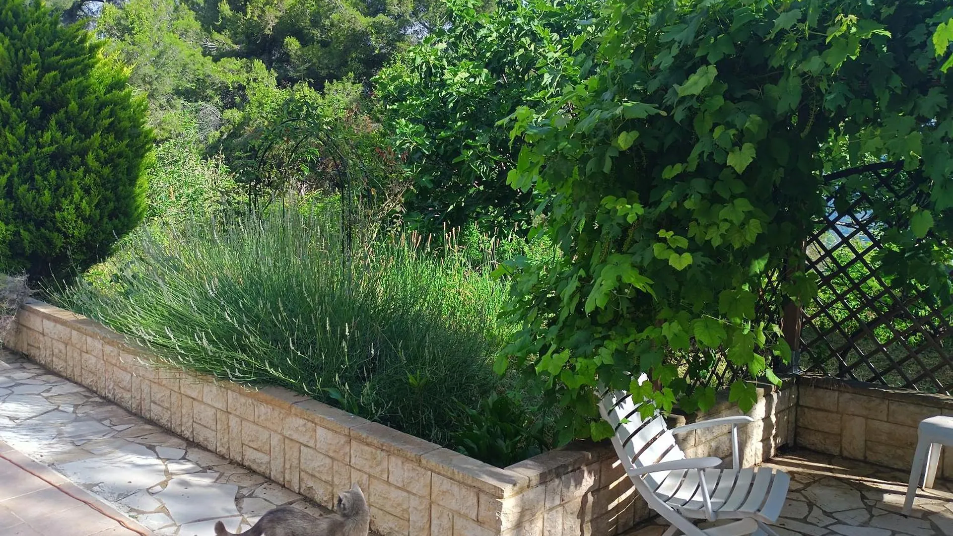 Apartment Studio Dans Villa Don Quijote Nice France