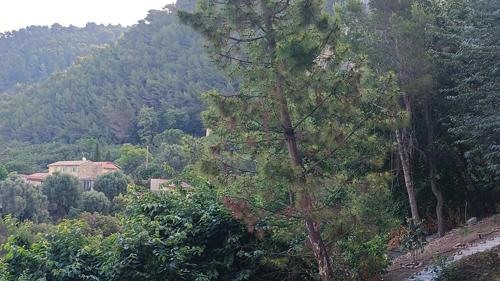 Studio Dans Villa Don Quijote Nice 0*,