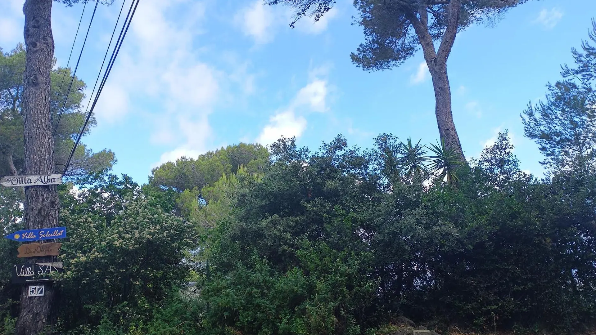 Apartment Studio Dans Villa Don Quijote Nice France
